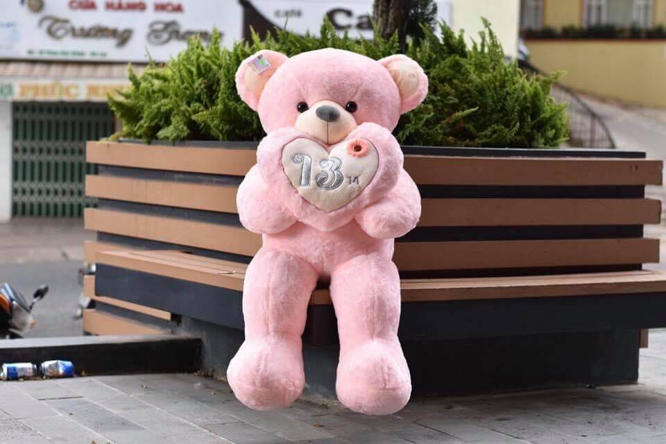 Mẫu gấu bông - MGB001