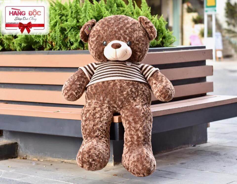 Mẫu gấu bông - MGB006