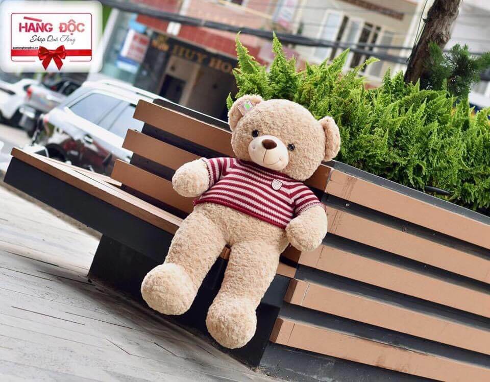 Mẫu gấu bông - MGB007