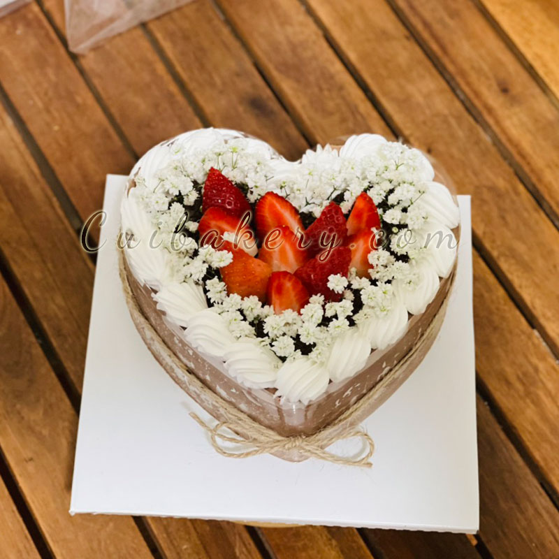 Mẫu Bánh Mousse Chocolate - MCL020